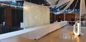 Wedding starlight curtain backdrop