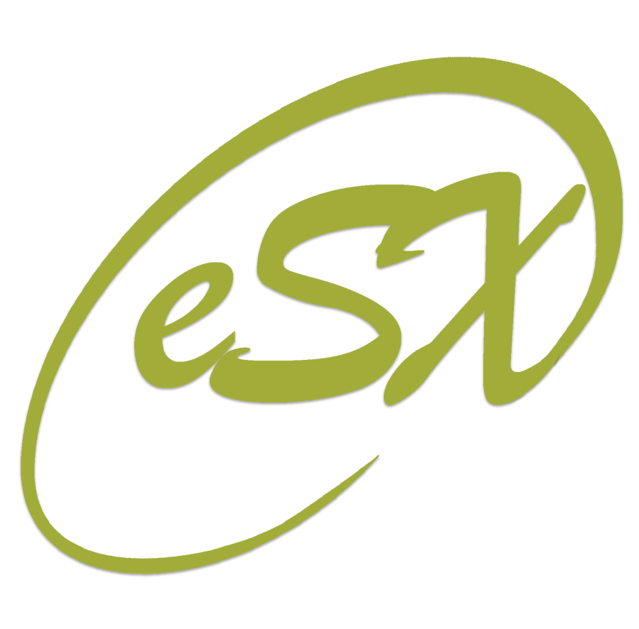 esx productions logo - event production company